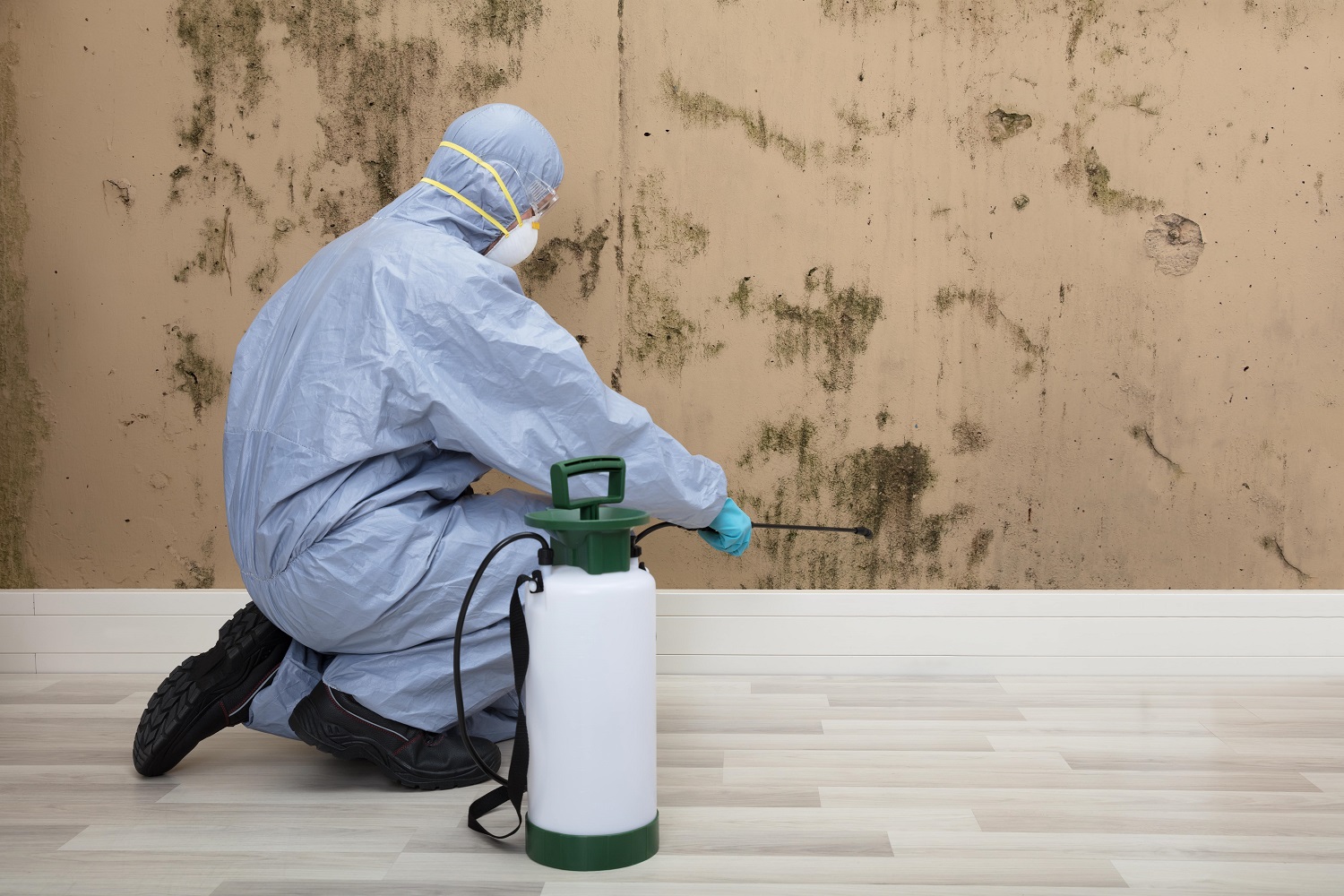 8 Things You Can Do to Prevent Mould Growth in Your Home